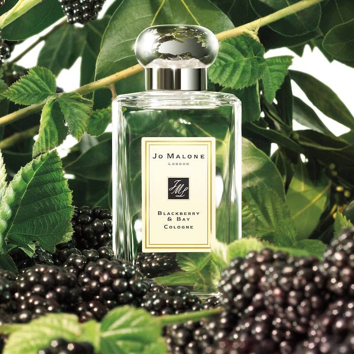 Blackberry & Bay — один из самых узнаваемых ароматов Jo Malone.