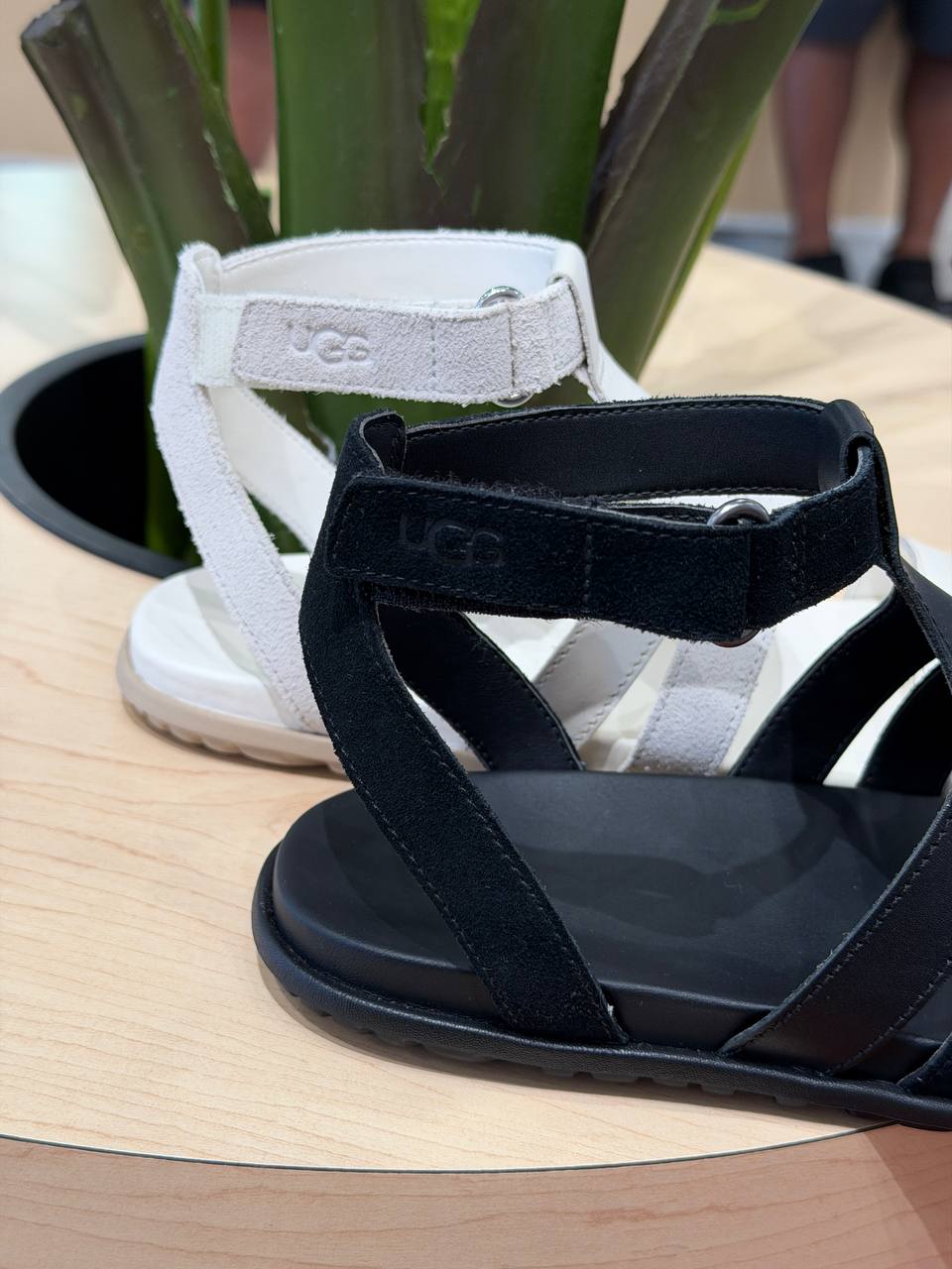 UGG 🏷️58$
