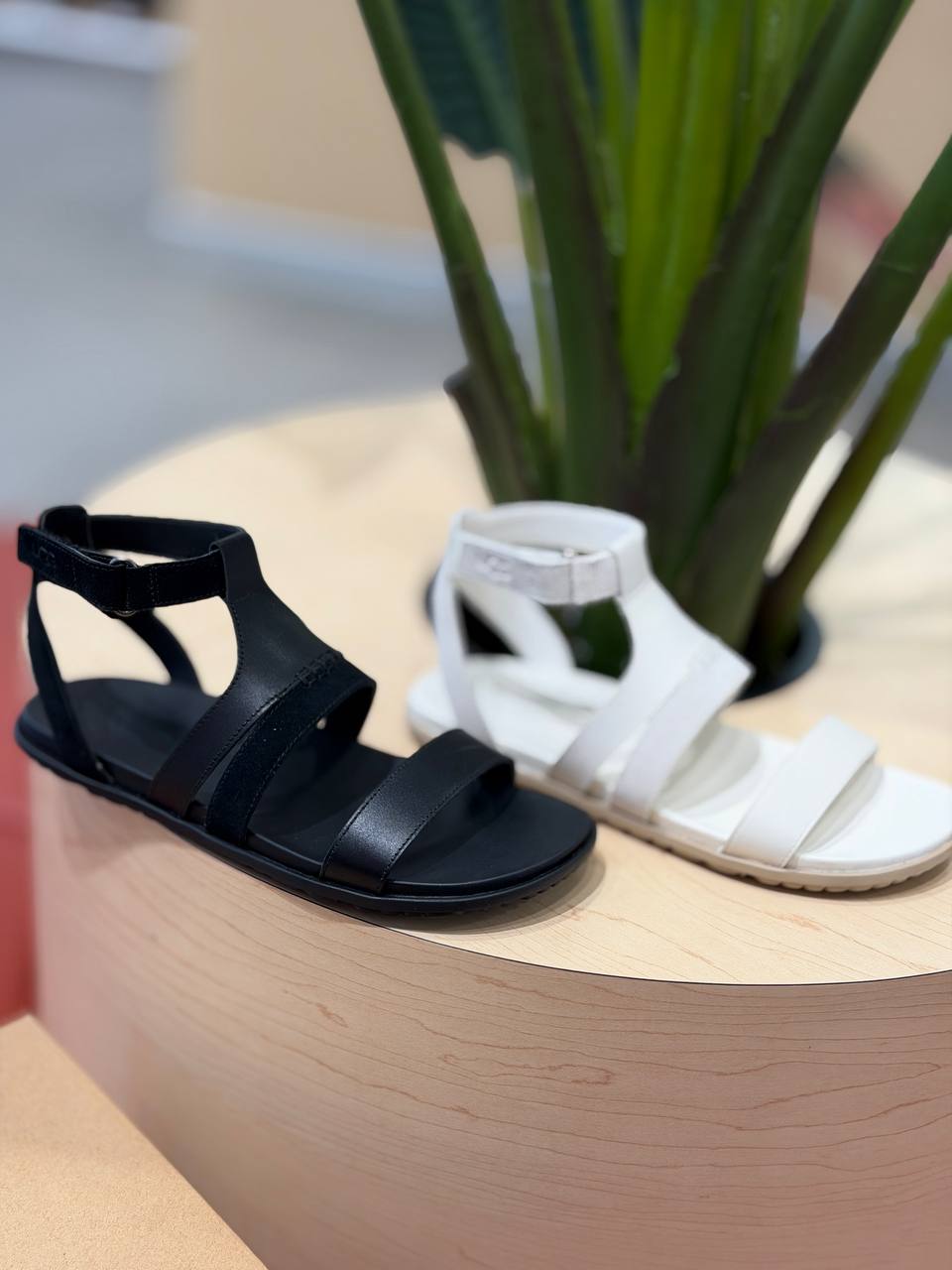 UGG 🏷️58$