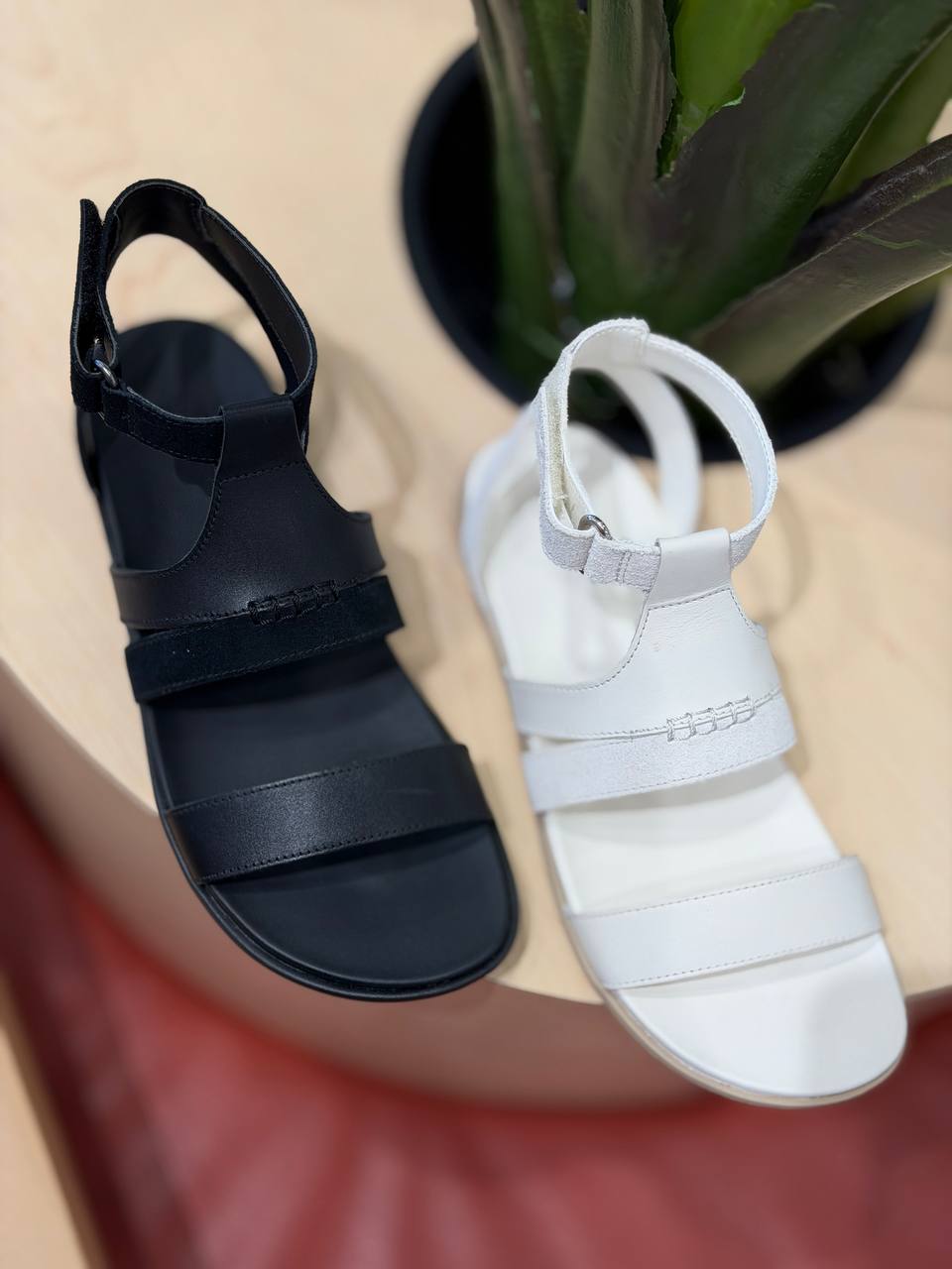 UGG 🏷️58$