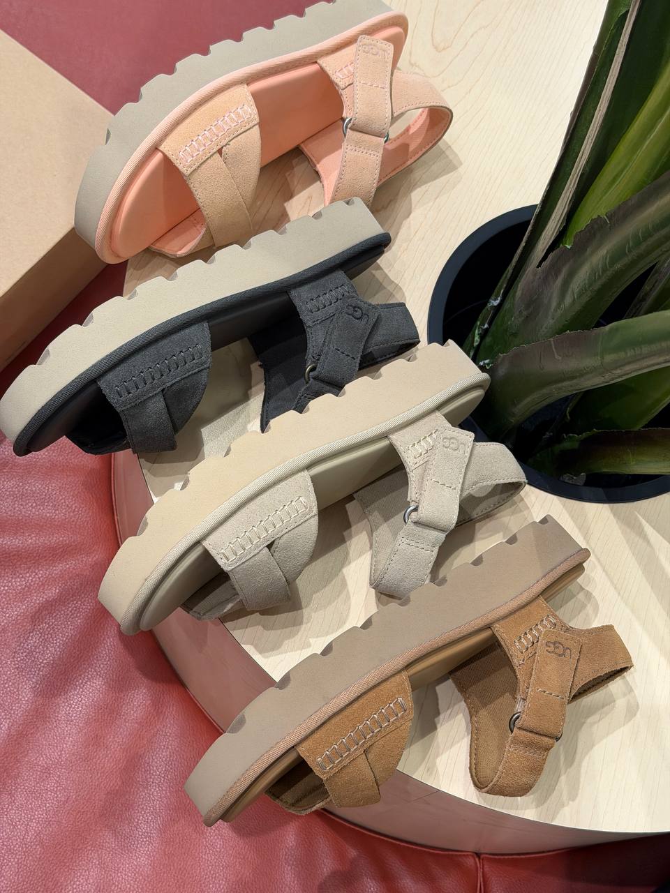 UGG 🏷️89$