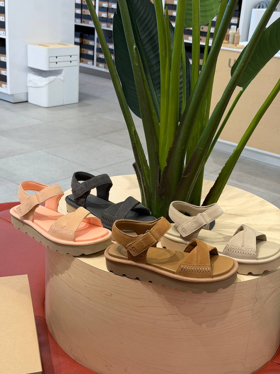 UGG 🏷️89$