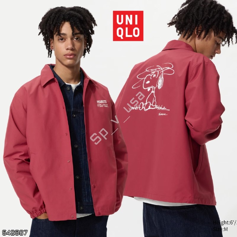Uniqlo