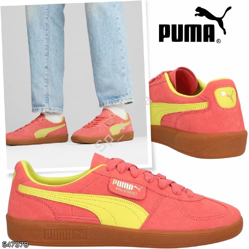 Puma