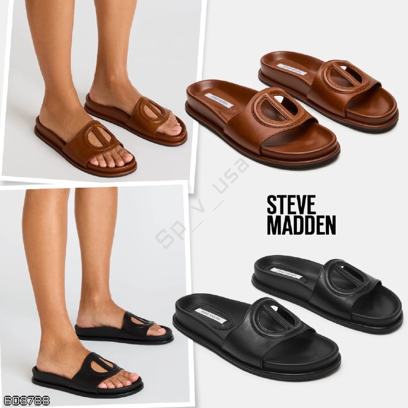 STEVE MADDEN