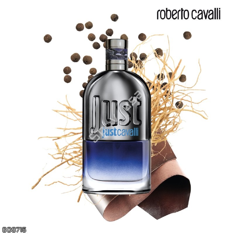 Roberto Cavalli