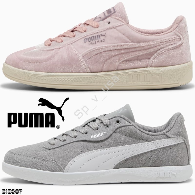 Puma