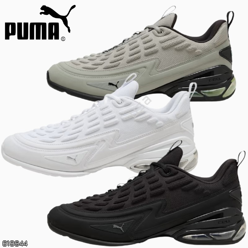 Puma