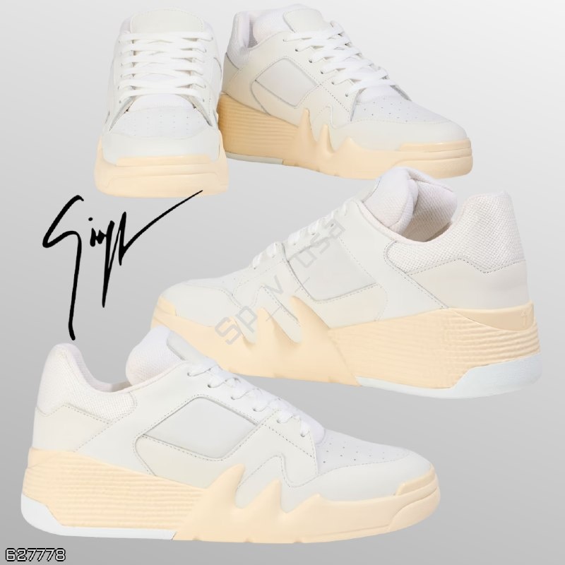 Giuseppe Zanotti