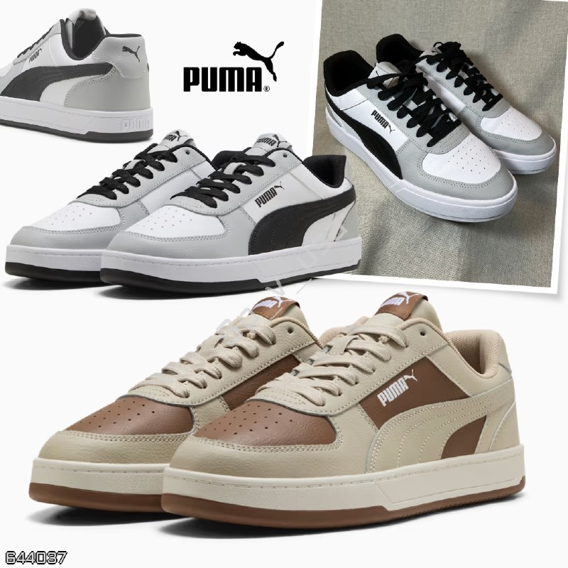 Puma