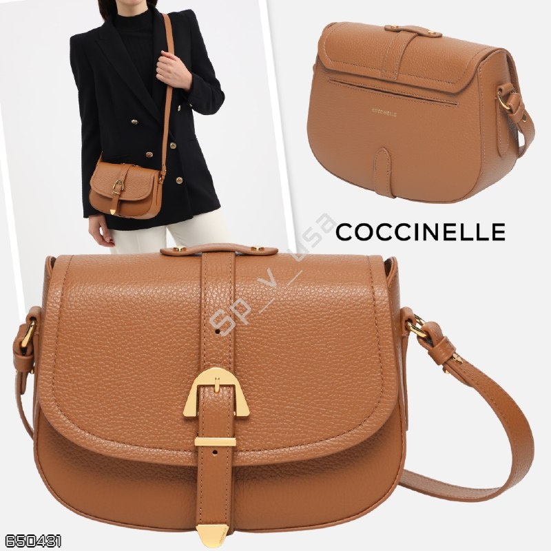 Coccinelle