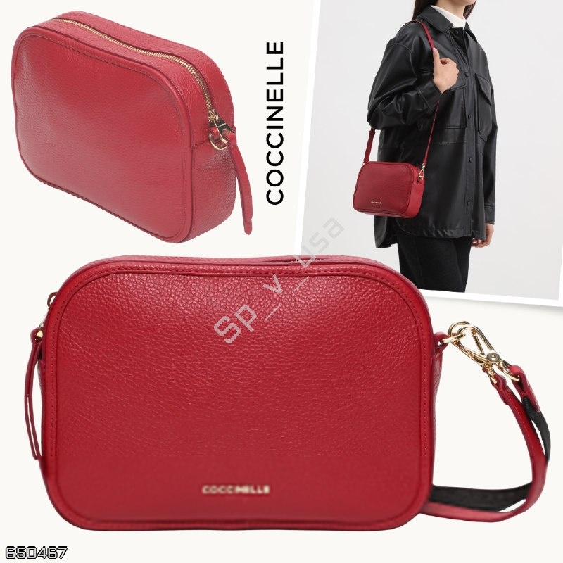 Coccinelle