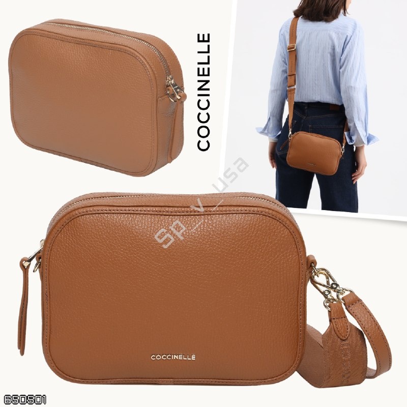 Coccinelle
