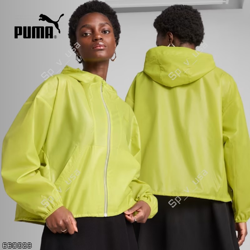 Puma