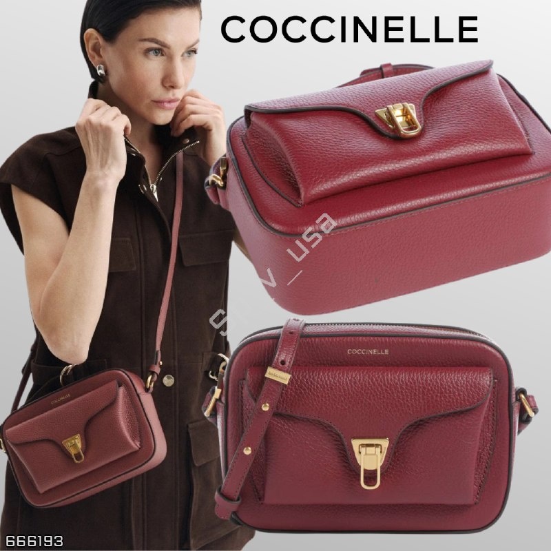 Coccinelle