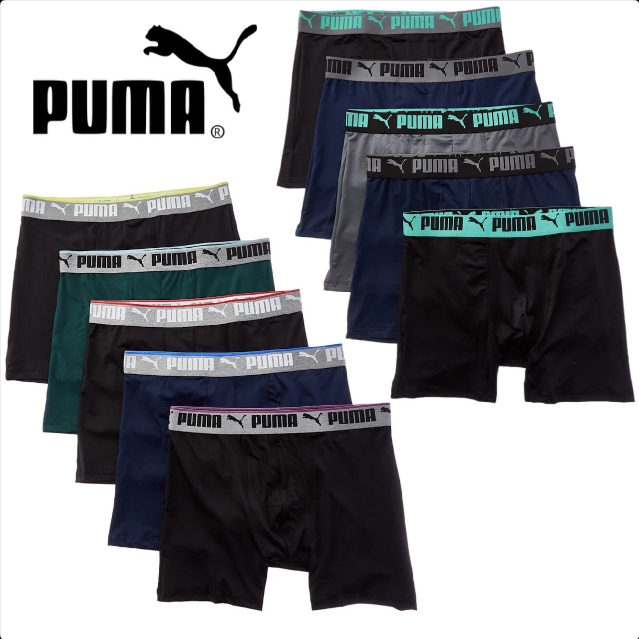 Puma