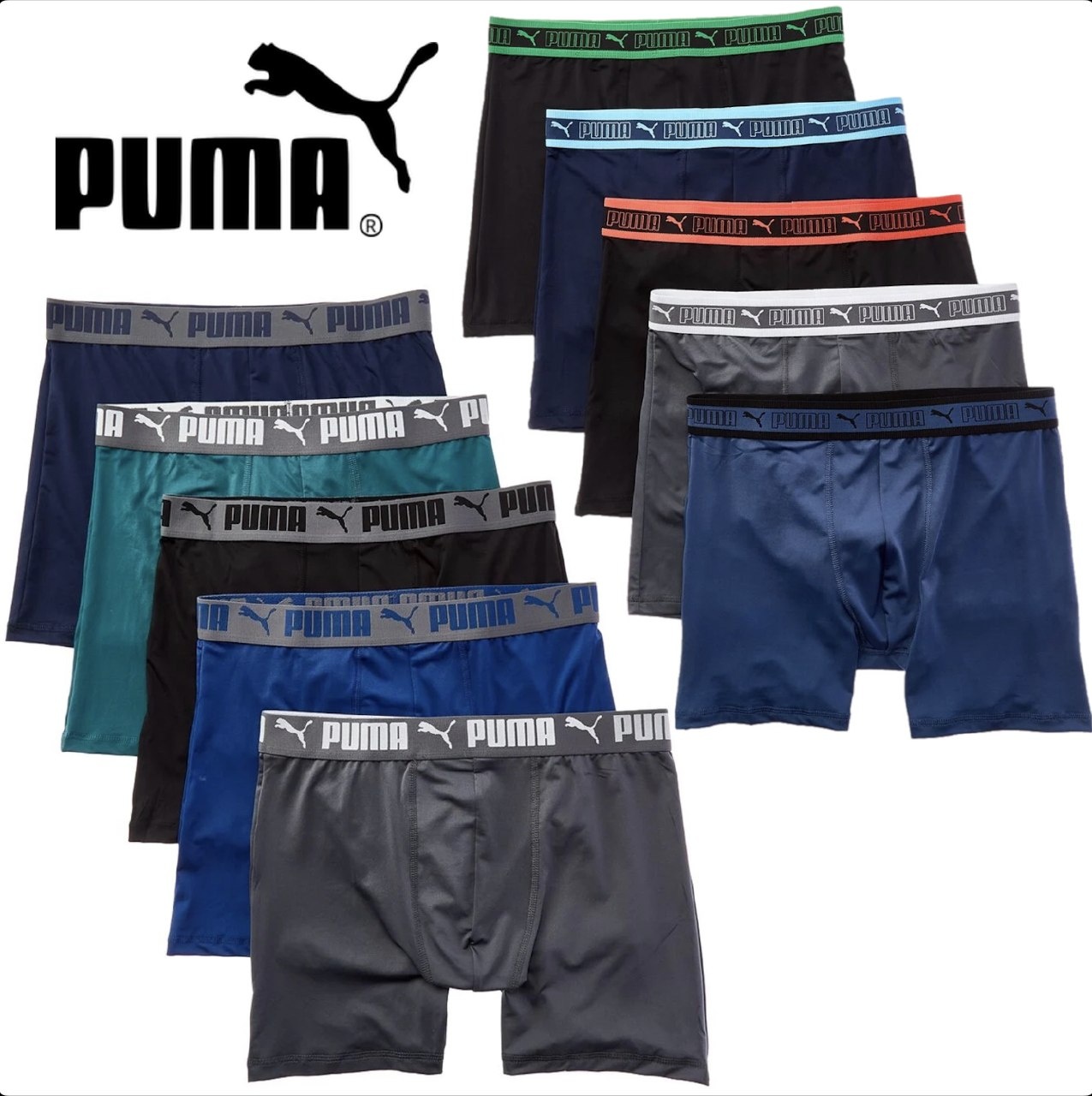 Puma
