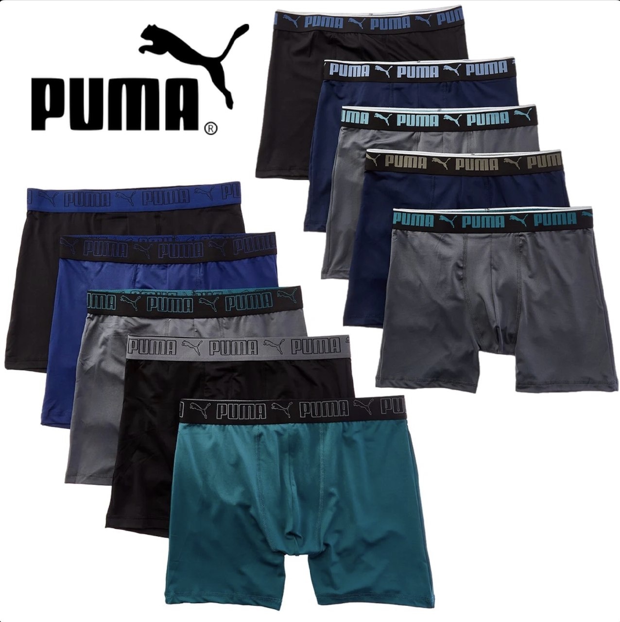 Puma