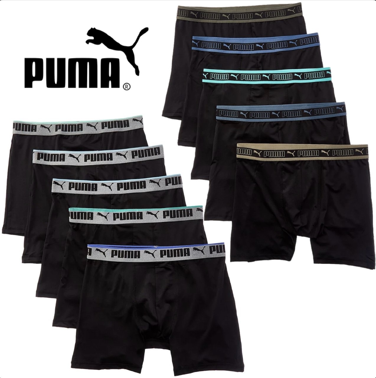 Puma