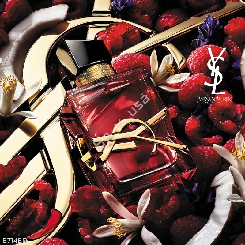 Yves Saint Laurent