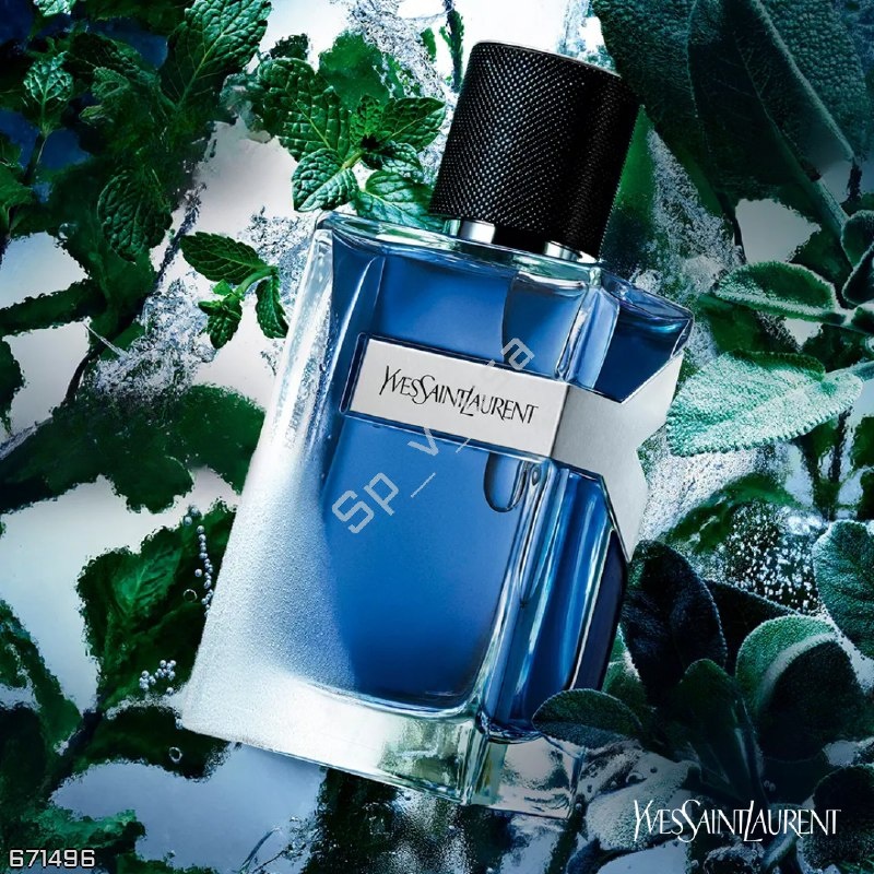Yves Saint Laurent