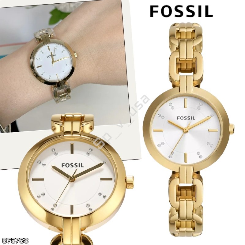 Fossil