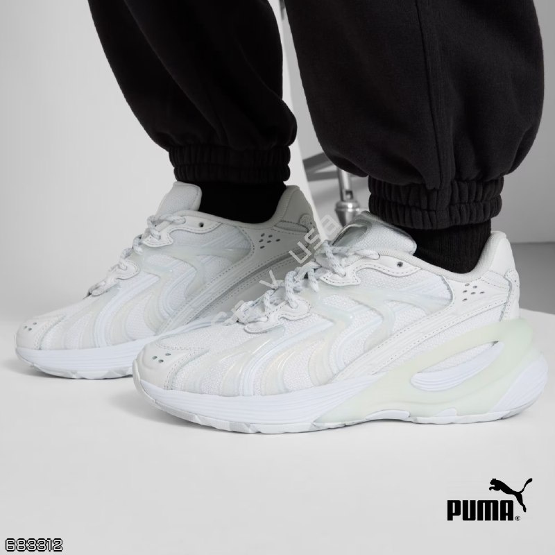 Puma