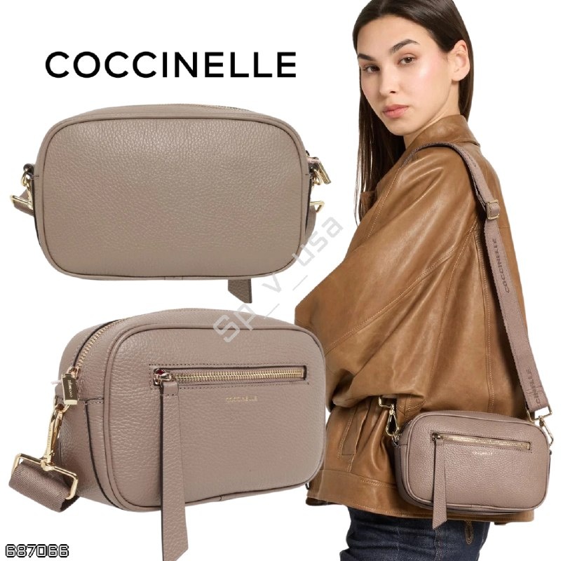 Coccinelle