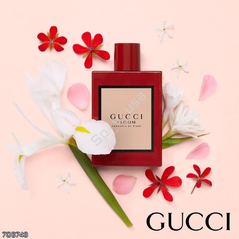 Gucci 🇺🇸