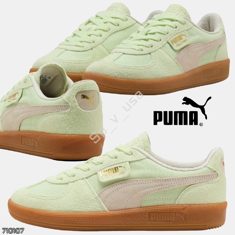 Puma
