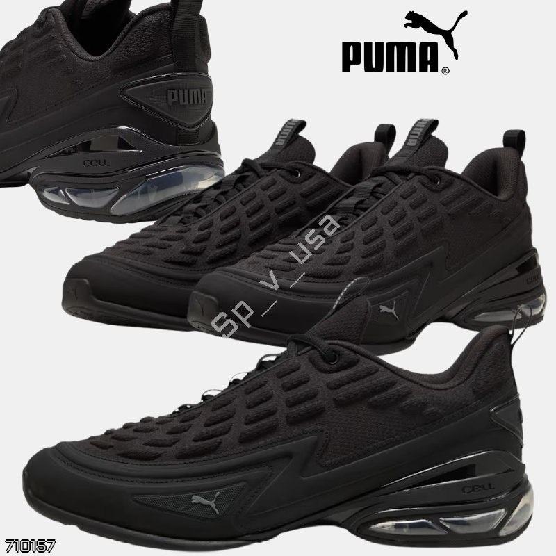 Puma