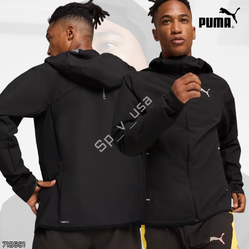 Puma
