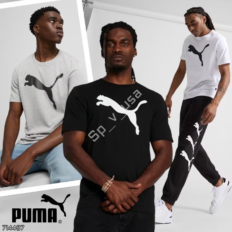 Puma
