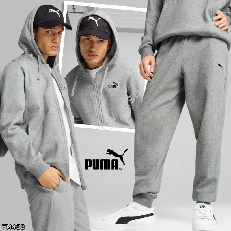 Puma