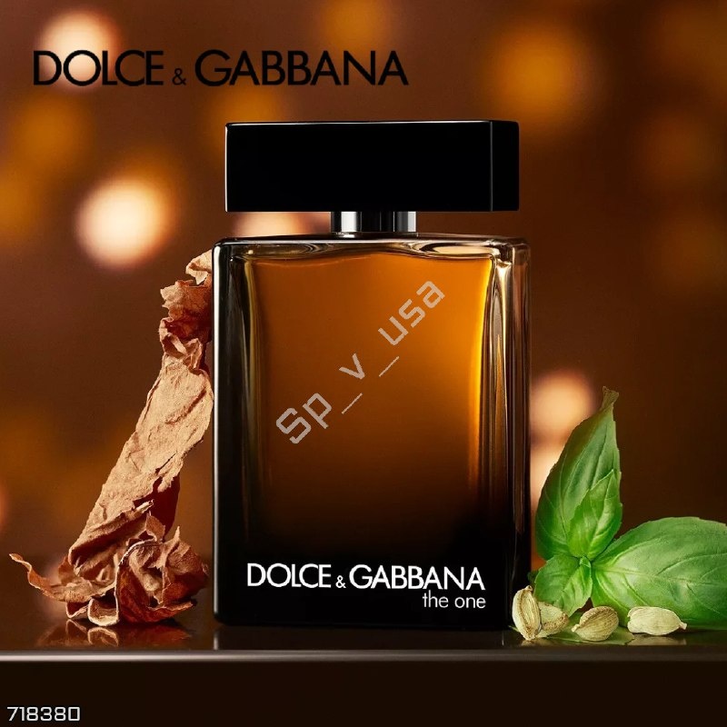 DOLCE & GABBANA