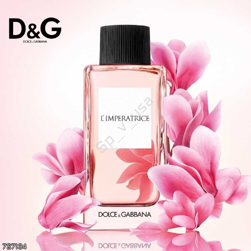 DOLCE & GABBANA