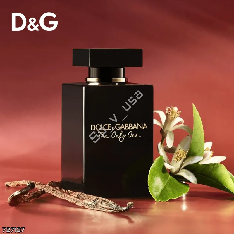 DOLCE & GABBANA