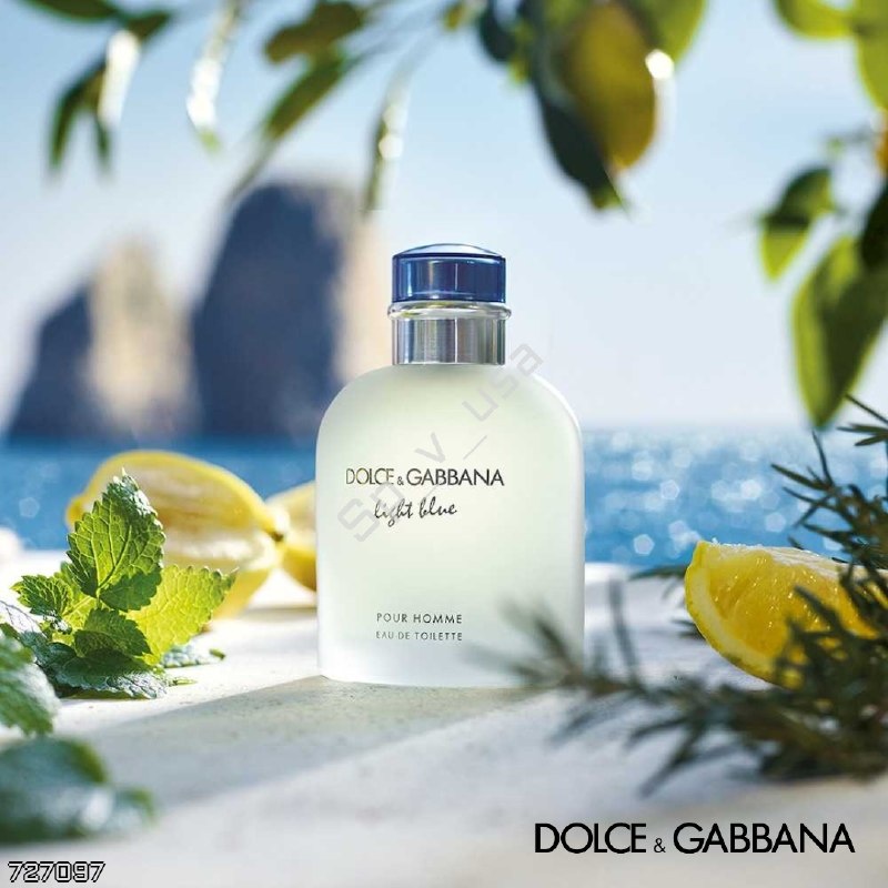 DOLCE & GABBANA