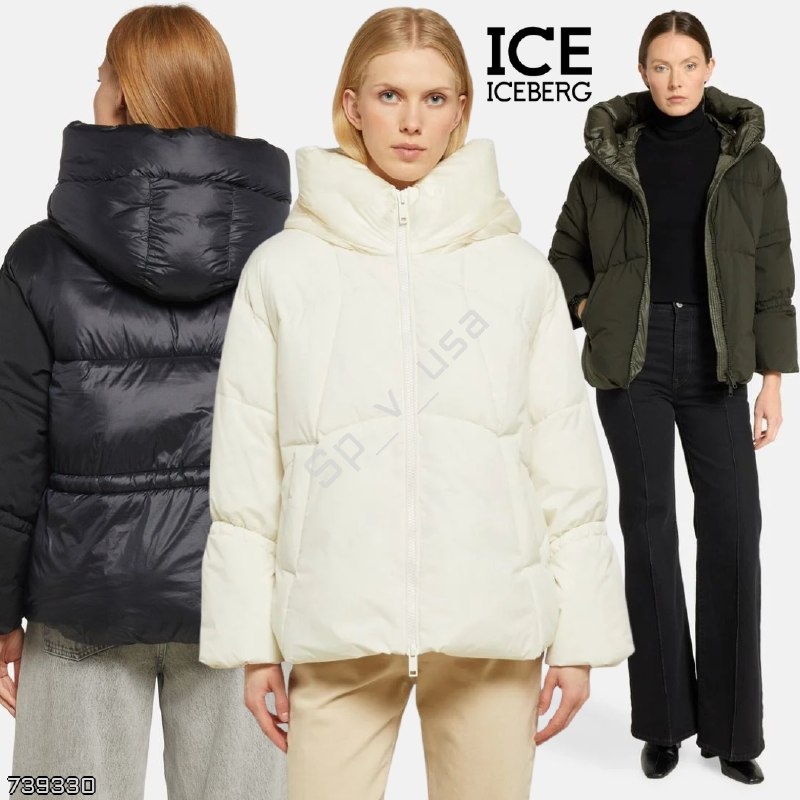 Ice Iceberg