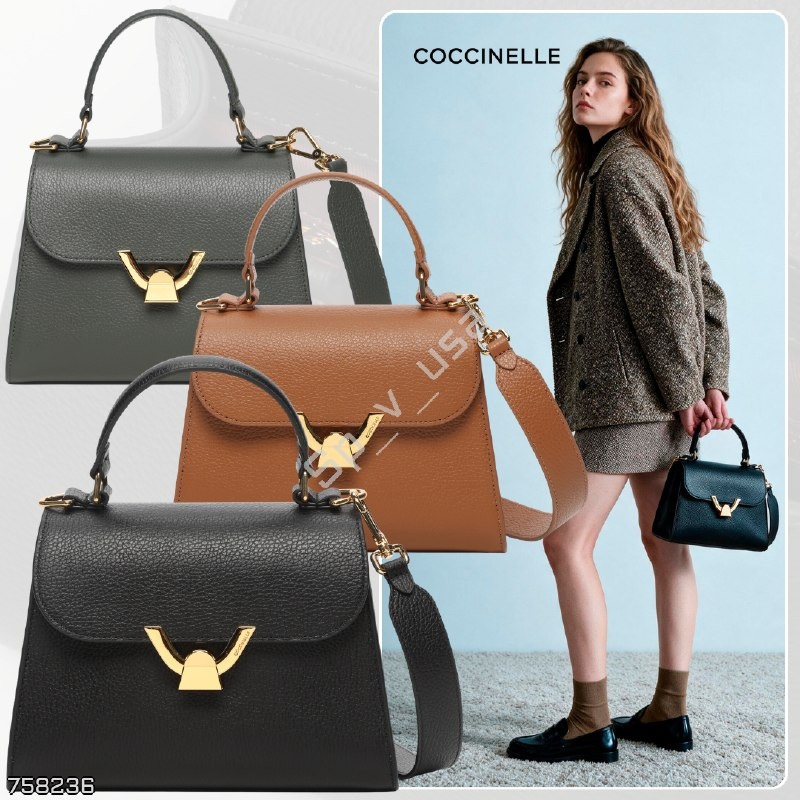 Coccinelle