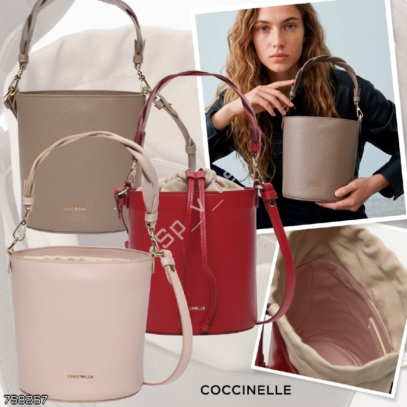 Coccinelle