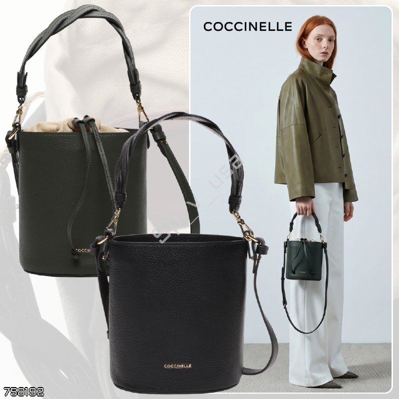 Coccinelle