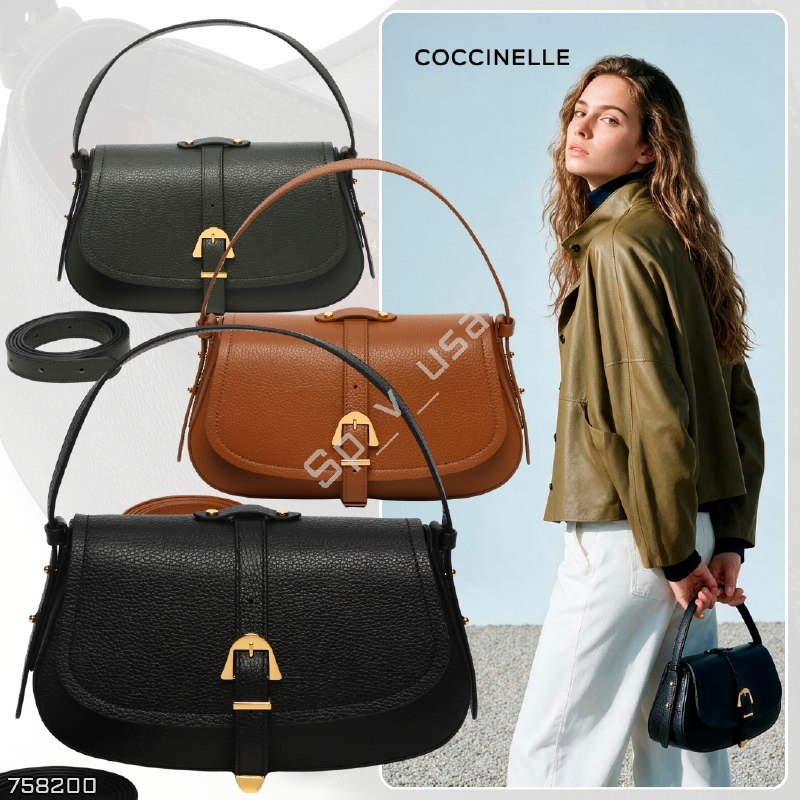 Coccinelle