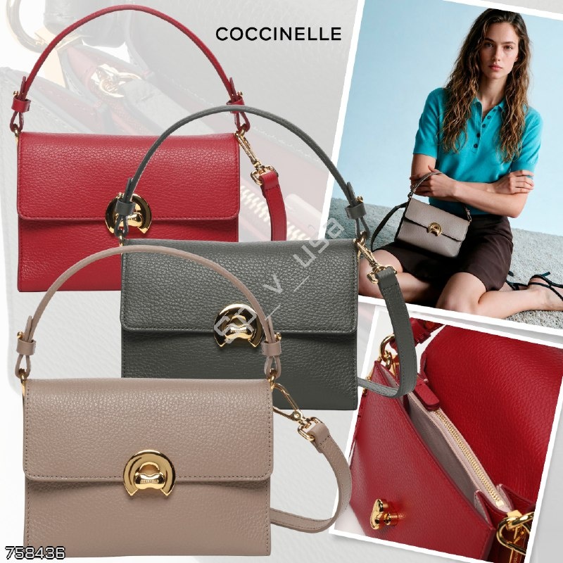 Coccinelle