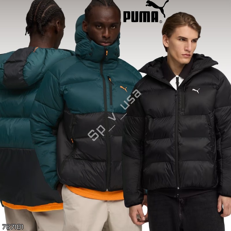 Puma