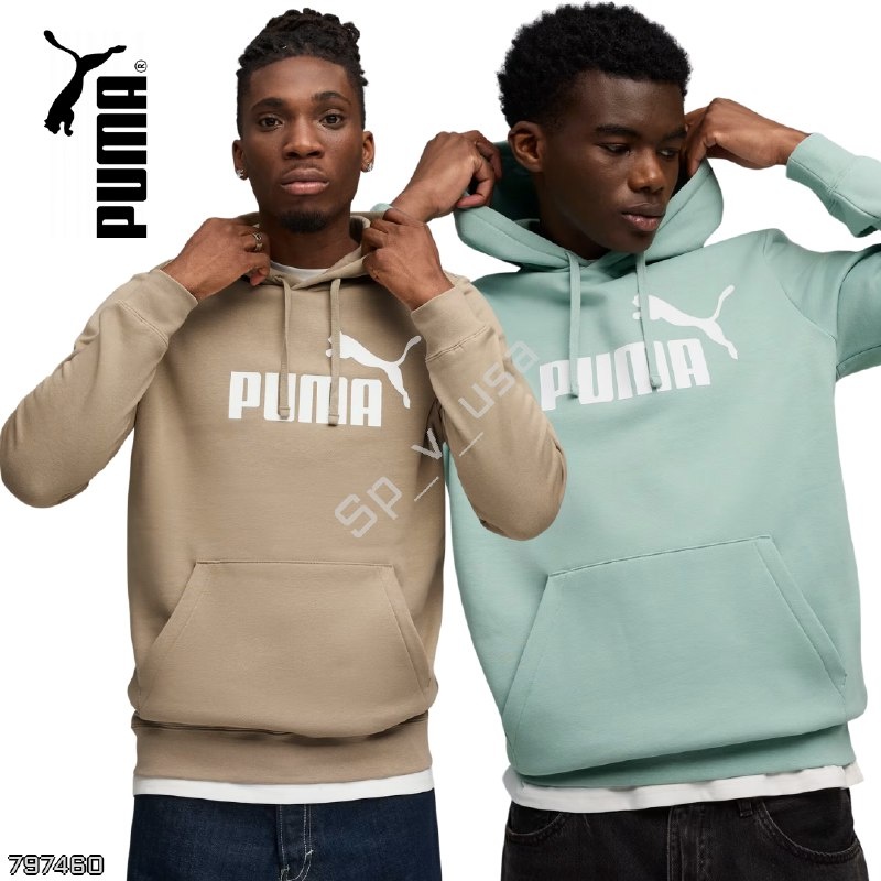 Puma