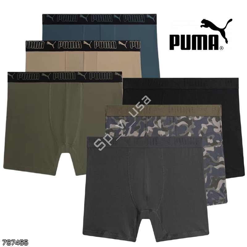 Puma