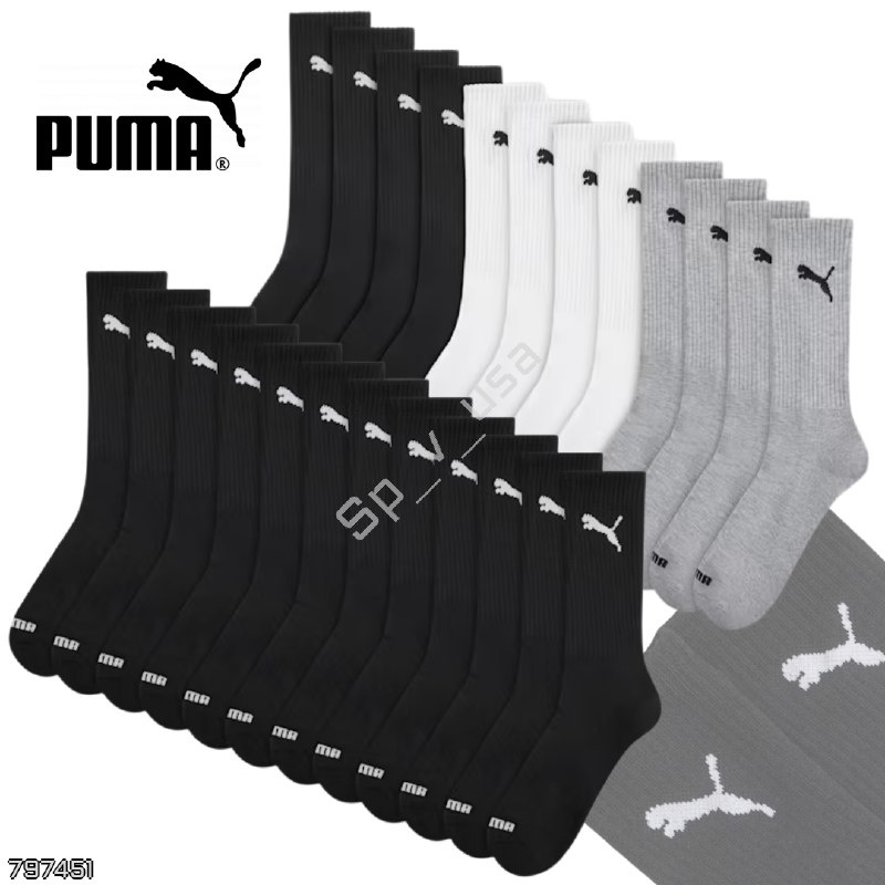Puma