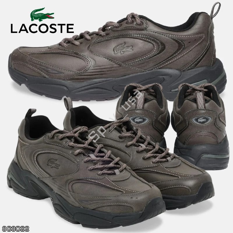 Lacoste