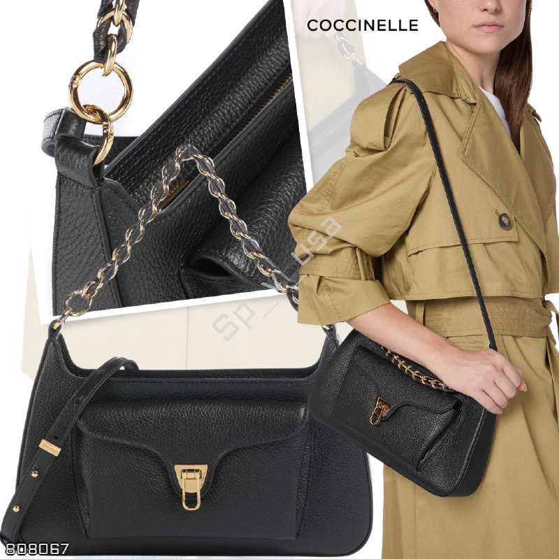 Coccinelle